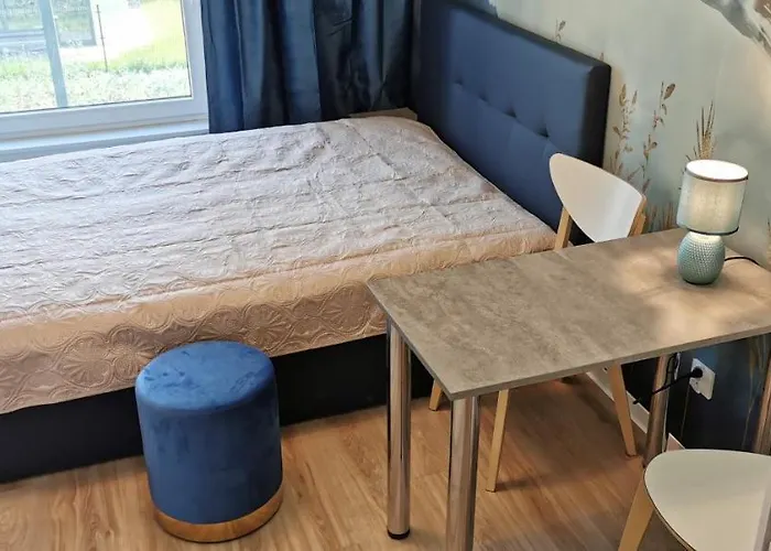 Wow Flou Przystan Letnica 700m Plaza Daire